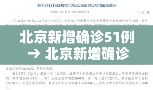 北京新增确诊51例 → 北京新增确诊51例病例
