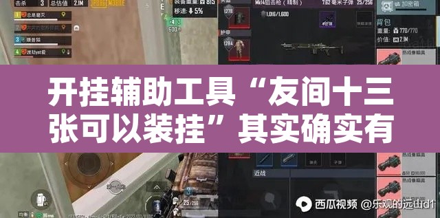 开挂辅助工具“友间十三张可以装挂”其实确实有挂
