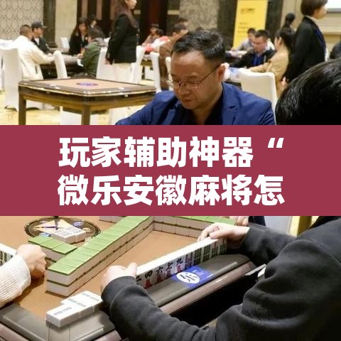 玩家辅助神器“微乐安徽麻将怎样免费开挂”开挂辅助脚本+详细开挂安装教程