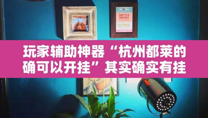 玩家辅助神器“杭州都莱的确可以开挂”其实确实有挂