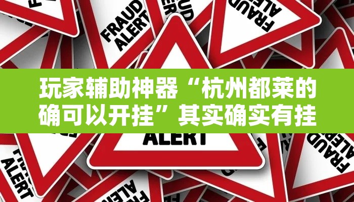 玩家辅助神器“杭州都莱的确可以开挂”其实确实有挂