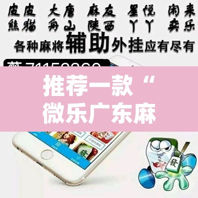 推荐一款“微乐广东麻将怎么提高胜率”(透视挂)辅助透视教程