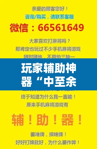 玩家辅助神器“中至余干小程序辅助器	”(透视挂)辅助透视教程