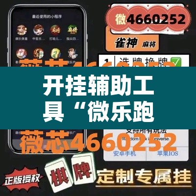 开挂辅助工具“微乐跑得快开挂教程	”开挂辅助脚本+详细开挂安装教程