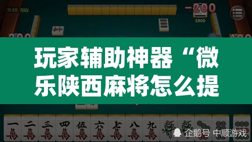 玩家辅助神器“微乐陕西麻将怎么提高胜率”(透视)其实确实有挂