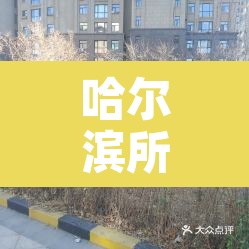 哈尔滨所有小区封闭管理:哈尔滨小区封闭小区名单最新 哈尔滨所有小区封闭管理:哈尔滨小区封闭小区名单最新
