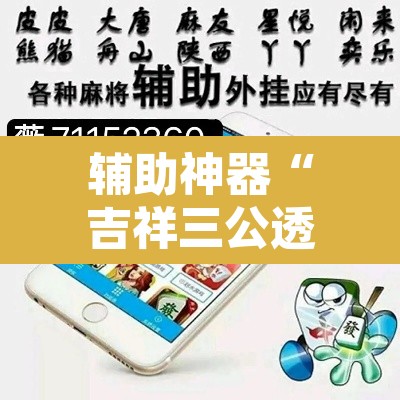 辅助神器“吉祥三公透视是真的吗”其实确实有挂