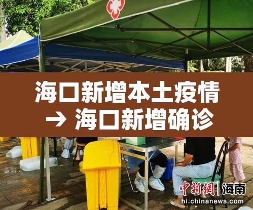 海口新增本土疫情 → 海口新增确诊病例 海口新增本土疫情 → 海口新增确诊病例