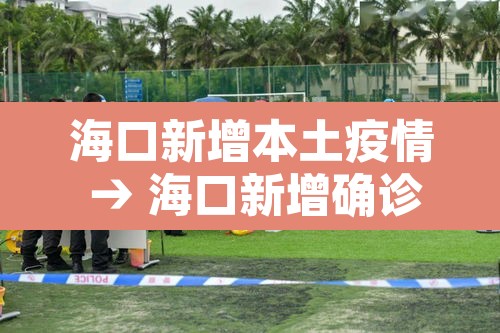 海口新增本土疫情 → 海口新增确诊病例 海口新增本土疫情 → 海口新增确诊病例