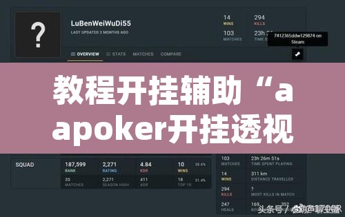 教程开挂辅助“aapoker开挂透视方法”其实确实有挂