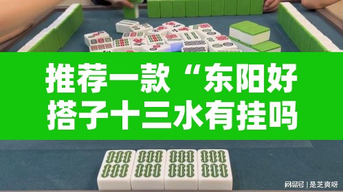 推荐一款“东阳好搭子十三水有挂吗”其实确实有挂