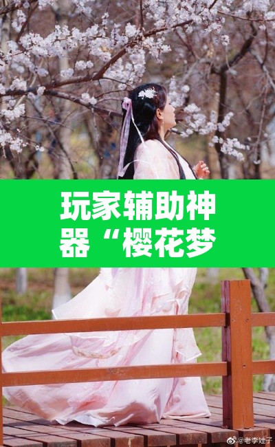 玩家辅助神器“樱花梦雨真的可以开挂吗”其实确实有挂
