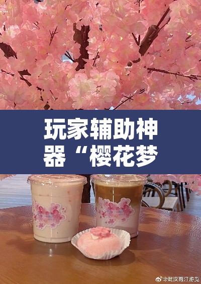 玩家辅助神器“樱花梦雨真的可以开挂吗”其实确实有挂