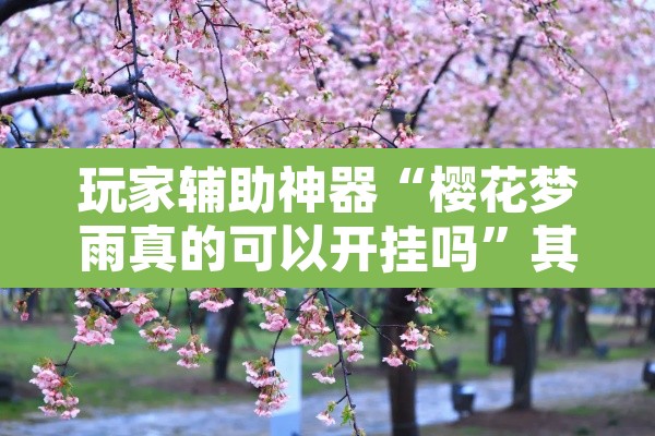 玩家辅助神器“樱花梦雨真的可以开挂吗	”其实确实有挂