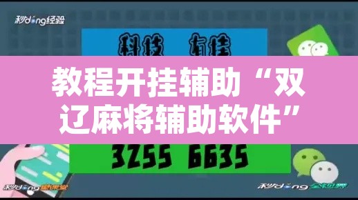 教程开挂辅助“双辽麻将辅助软件”其实确实有挂