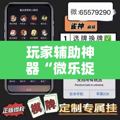 玩家辅助神器“微乐捉鸡麻将开挂教程步骤图	”其实确实有挂