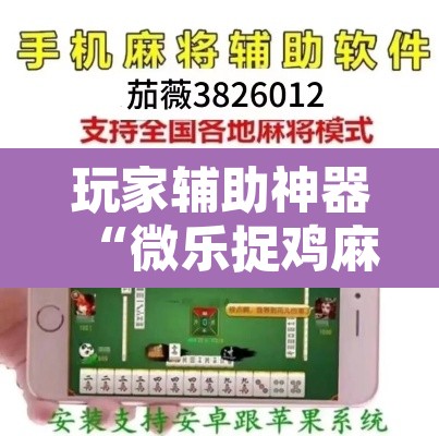 玩家辅助神器“微乐捉鸡麻将开挂教程步骤图”其实确实有挂