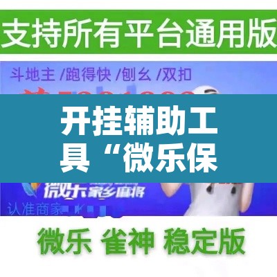 开挂辅助工具“微乐保皇挂”开挂辅助脚本+详细开挂安装教程