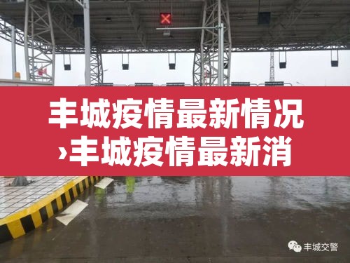 丰城疫情最新情况›丰城疫情最新消息今天