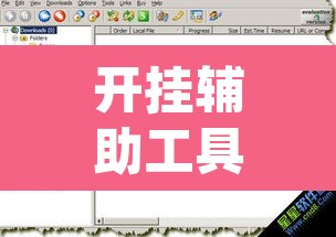 开挂辅助工具“德扑之星'透视挂软件”(透视)其实确实有挂