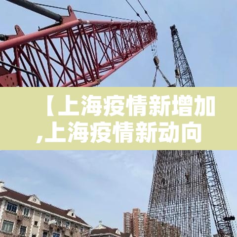 【上海疫情新增加,上海疫情新动向】