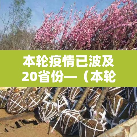 本轮疫情已波及20省份—（本轮疫情波及12省）