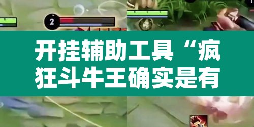 开挂辅助工具“疯狂斗牛王确实是有挂吗”其实确实有挂