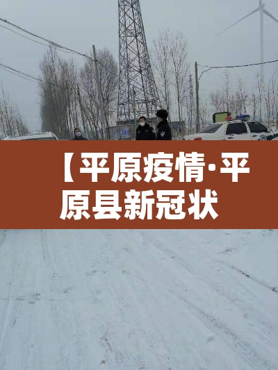 【平原疫情·平原县新冠状病毒公告】
