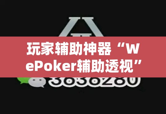 玩家辅助神器“WePoker辅助透视	”(透视挂)辅助透视教程