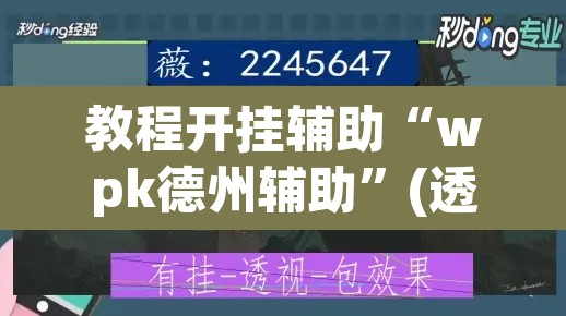 教程开挂辅助“wpk德州辅助”(透视)其实确实有挂