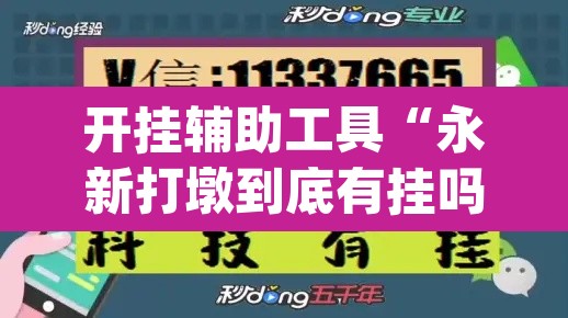 开挂辅助工具“永新打墩到底有挂吗”(透视挂)辅助透视教程