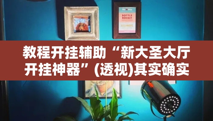教程开挂辅助“新大圣大厅开挂神器”(透视)其实确实有挂