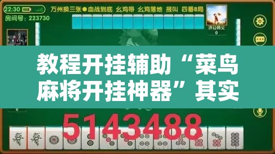 教程开挂辅助“菜鸟麻将开挂神器	”其实确实有挂