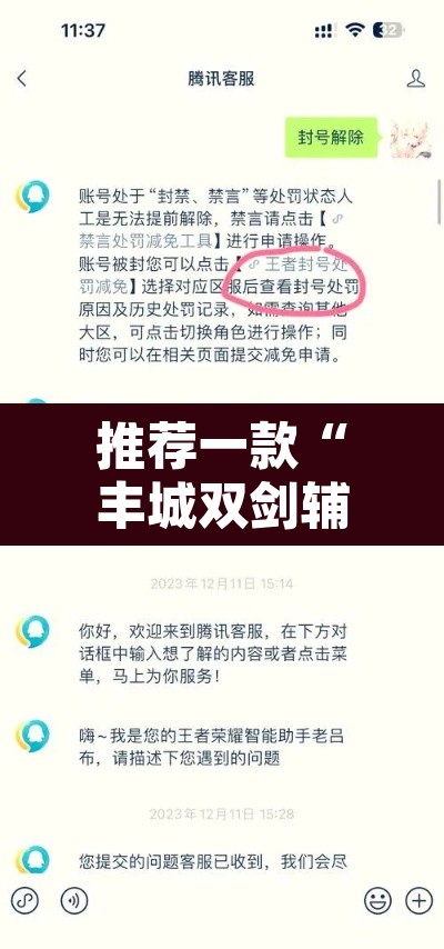 推荐一款“丰城双剑辅助器”附辅助神器开挂脚本详细步骤