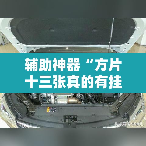 辅助神器“方片十三张真的有挂吗”(透视)其实确实有挂