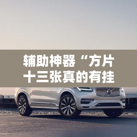 辅助神器“方片十三张真的有挂吗”(透视)其实确实有挂