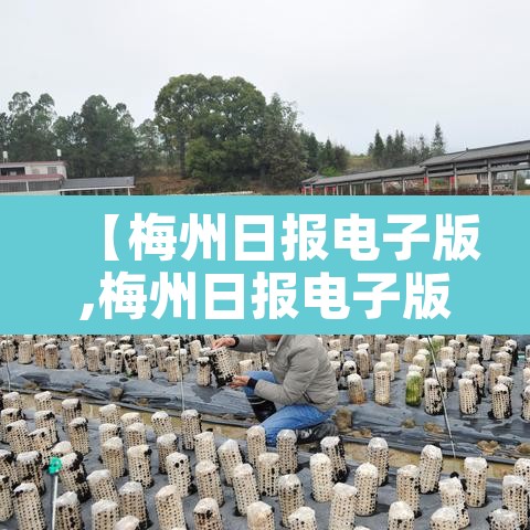 【梅州日报电子版,梅州日报电子版下载方法】 【梅州日报电子版,梅州日报电子版下载方法】