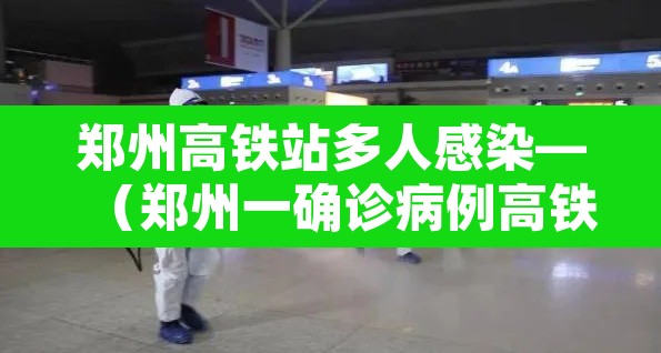 郑州高铁站多人感染—(郑州一确诊病例高铁) 郑州高铁站多人感染—(郑州一确诊病例高铁)