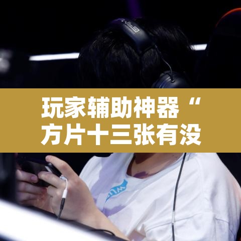 玩家辅助神器“方片十三张有没有挂”其实确实有挂