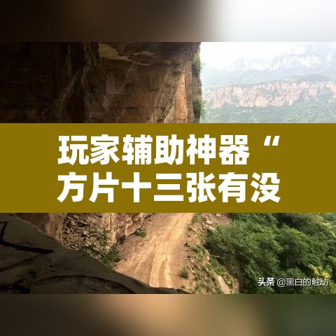 玩家辅助神器“方片十三张有没有挂”其实确实有挂