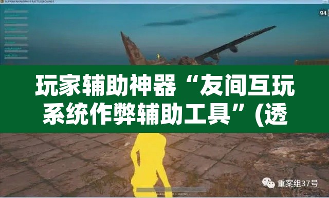 玩家辅助神器“友间互玩系统作弊辅助工具”(透视)其实确实有挂