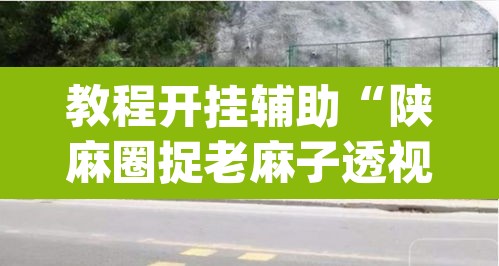 教程开挂辅助“陕麻圈捉老麻子透视”(透视)其实确实有挂