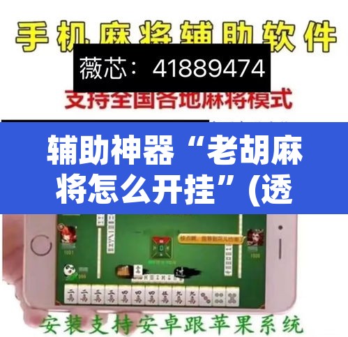 辅助神器“老胡麻将怎么开挂”(透视)其实确实有挂