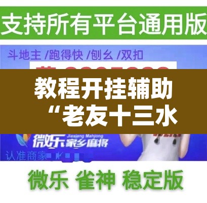 教程开挂辅助“老友十三水能不能调胜率 	”附辅助神器开挂脚本详细步骤