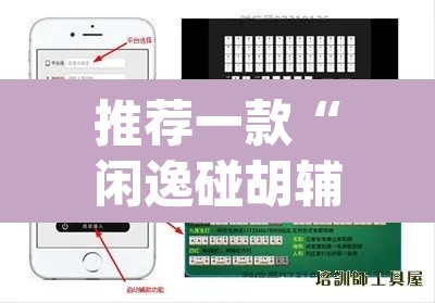 推荐一款“闲逸碰胡辅助软件下载	”(透视)其实确实有挂