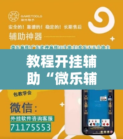 教程开挂辅助“微乐辅助器最新免费版	”(透视挂)辅助透视教程