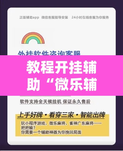 教程开挂辅助“微乐辅助器最新免费版”(透视挂)辅助透视教程