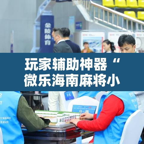 玩家辅助神器“微乐海南麻将小程序必赢神器”附辅助神器开挂脚本详细步骤