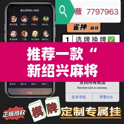 推荐一款“新绍兴麻将可以开挂吗”开挂辅助脚本+详细开挂安装教程