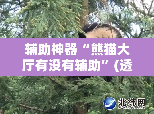 辅助神器“熊猫大厅有没有辅助	”(透视)其实确实有挂